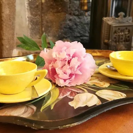 Lejlighed Cocon Au Coeur Du Puy-en-velay Avec Cour Privee Et Wifi - Fr-1-582-325 *