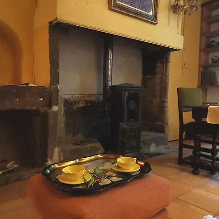 Cocon Au Coeur Du Puy-en-velay Avec Cour Privee Et Wifi - Fr-1-582-325 Lägenhet Le Puy-en-Velay