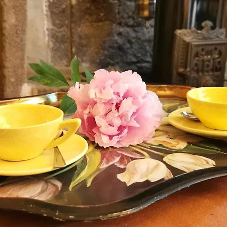 Cocon Au Coeur Du Puy-en-velay Avec Cour Privee Et Wifi - Fr-1-582-325 *