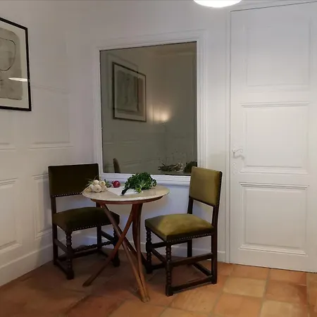 Lejlighed Cocon Au Coeur Du Puy-en-velay Avec Cour Privee Et Wifi - Fr-1-582-325 *