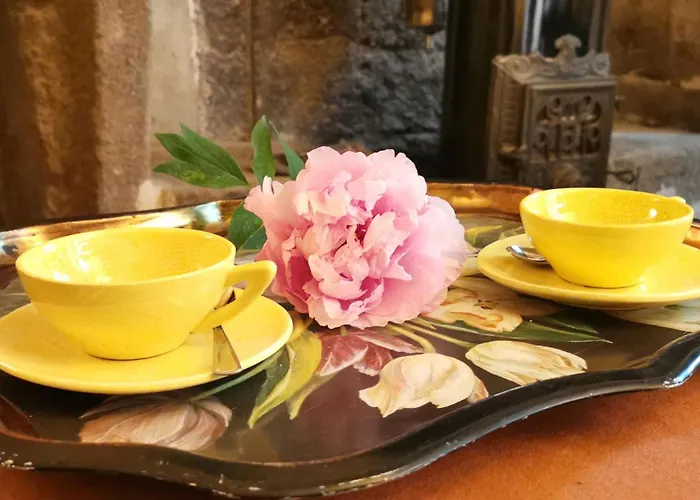 Cocon Au Coeur Du Puy-en-velay Avec Cour Privee Et Wifi - Fr-1-582-325 *