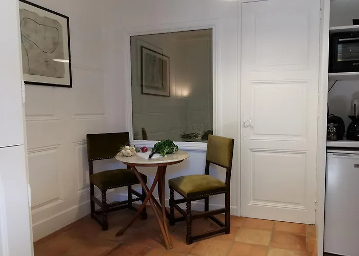 Apartment Cocon Au Coeur Du Puy-en-velay Avec Cour Privee Et Wifi - Fr-1-582-325 *